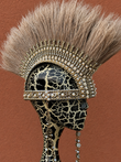 MAX Mohawk in Pearl/Beige - Who Cares Why Not