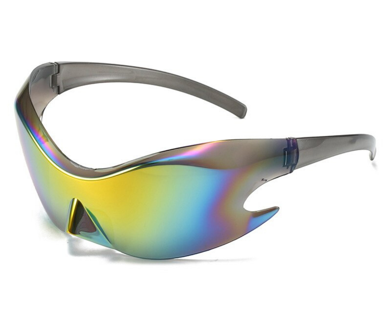 The BLANK Sunglasses #1 - Who Cares Why Not