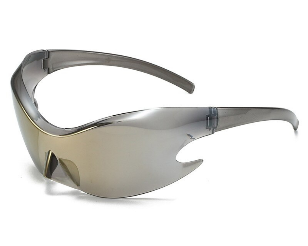 The BLANK Sunglasses #1 - Who Cares Why Not